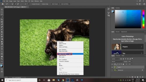 جداکردن پس زمینه تصویر در فتوشاپ